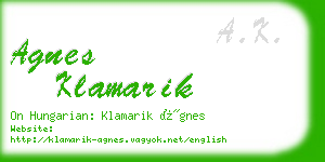 agnes klamarik business card